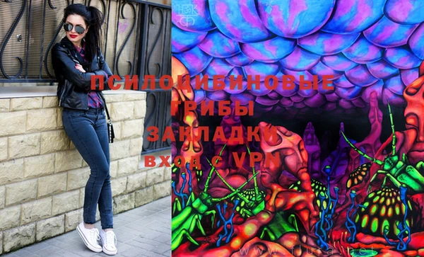 гашик Верхний Тагил