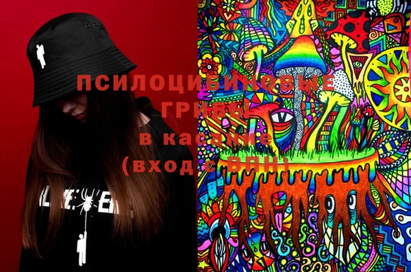 гашик Верхний Тагил