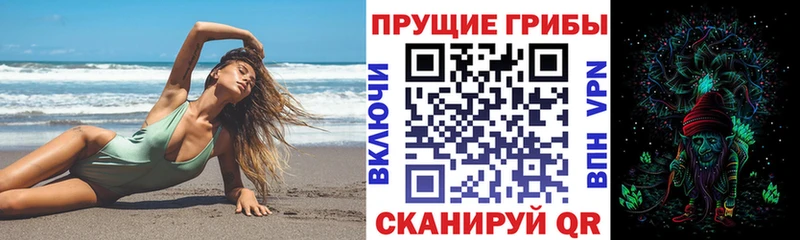 дарнет шоп  Челябинск  Псилоцибиновые грибы Psilocybine cubensis 